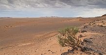pustynia gobi jakub czajkowski