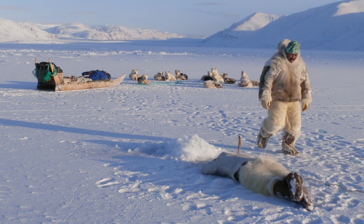inuici polowanie na foki norbert pokorski