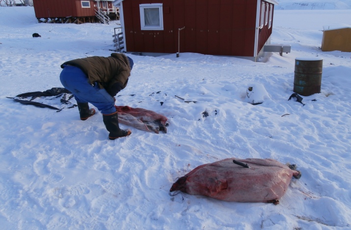 Norbert Pokorski Greenland Experience 2013